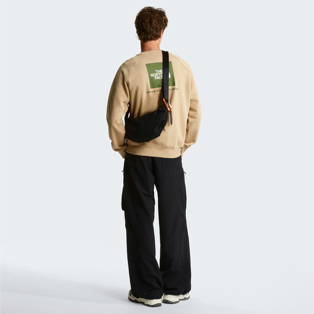 Férfi pulóver The North Face Raglan Box NS Crew 0A89FALK51 - bézs