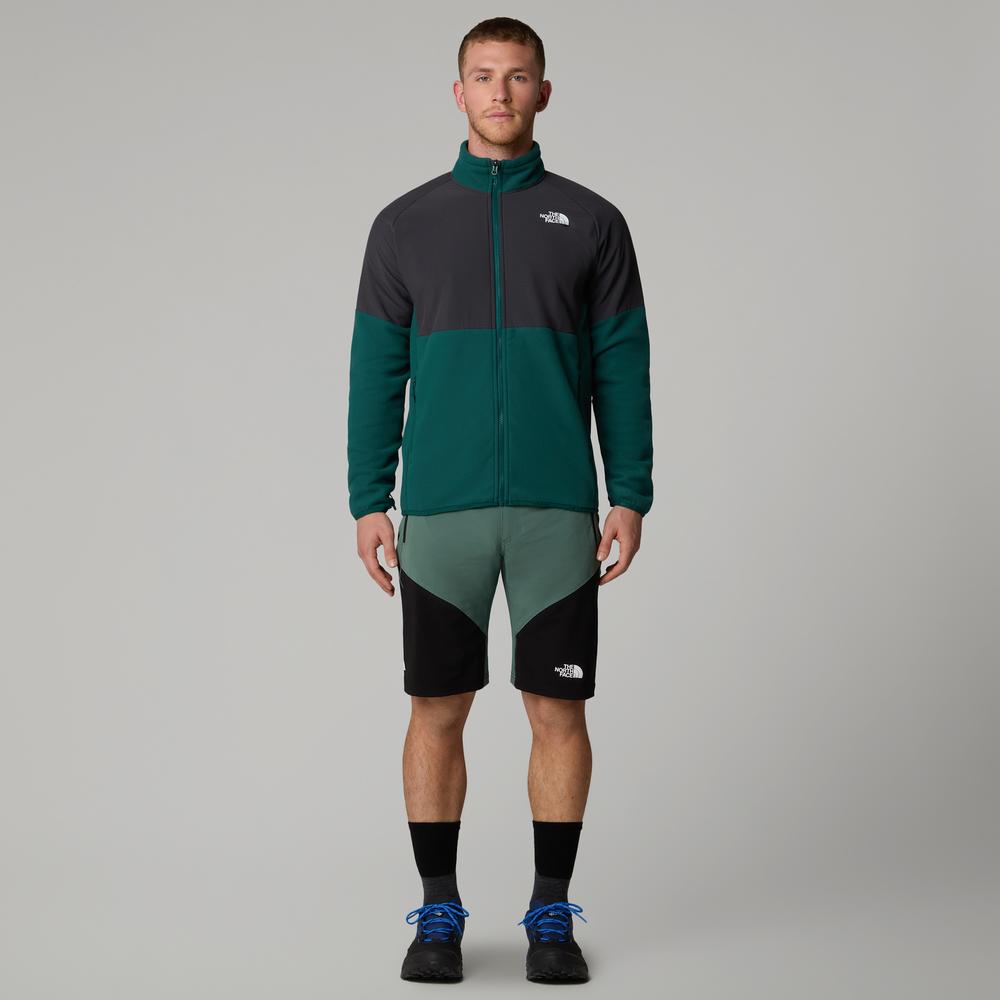 Férfi rövidnadrág The North Face Felik 0A825XLFW1 - zöld