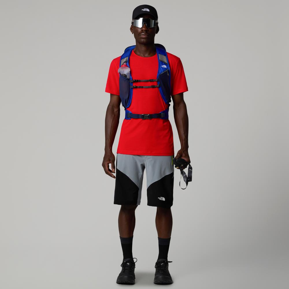 Férfi rövidnadrág The North Face Felik 0A825XBO71 - szürke