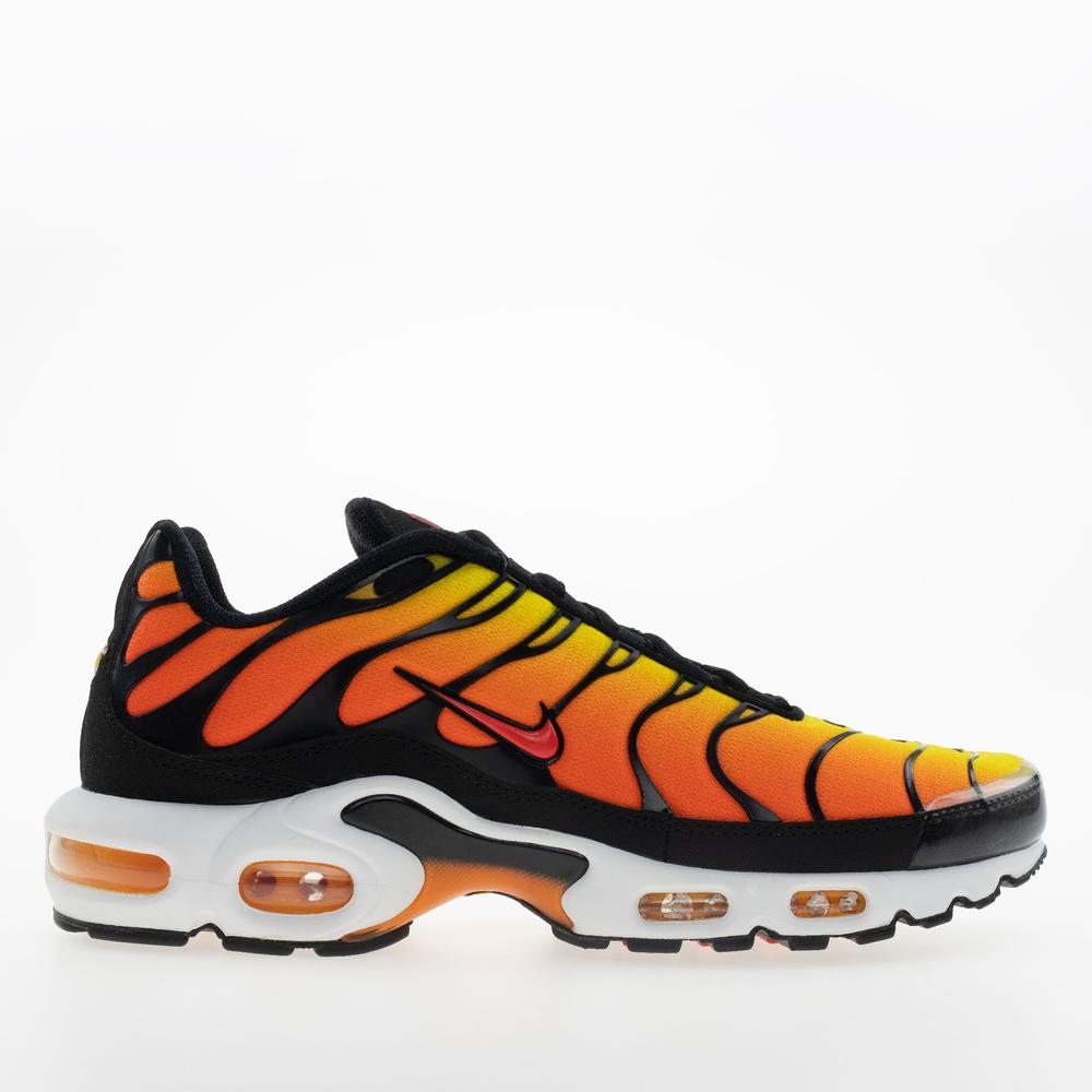 Férfi cipő Nike Air Max Plus HF0552-001 - többszínű