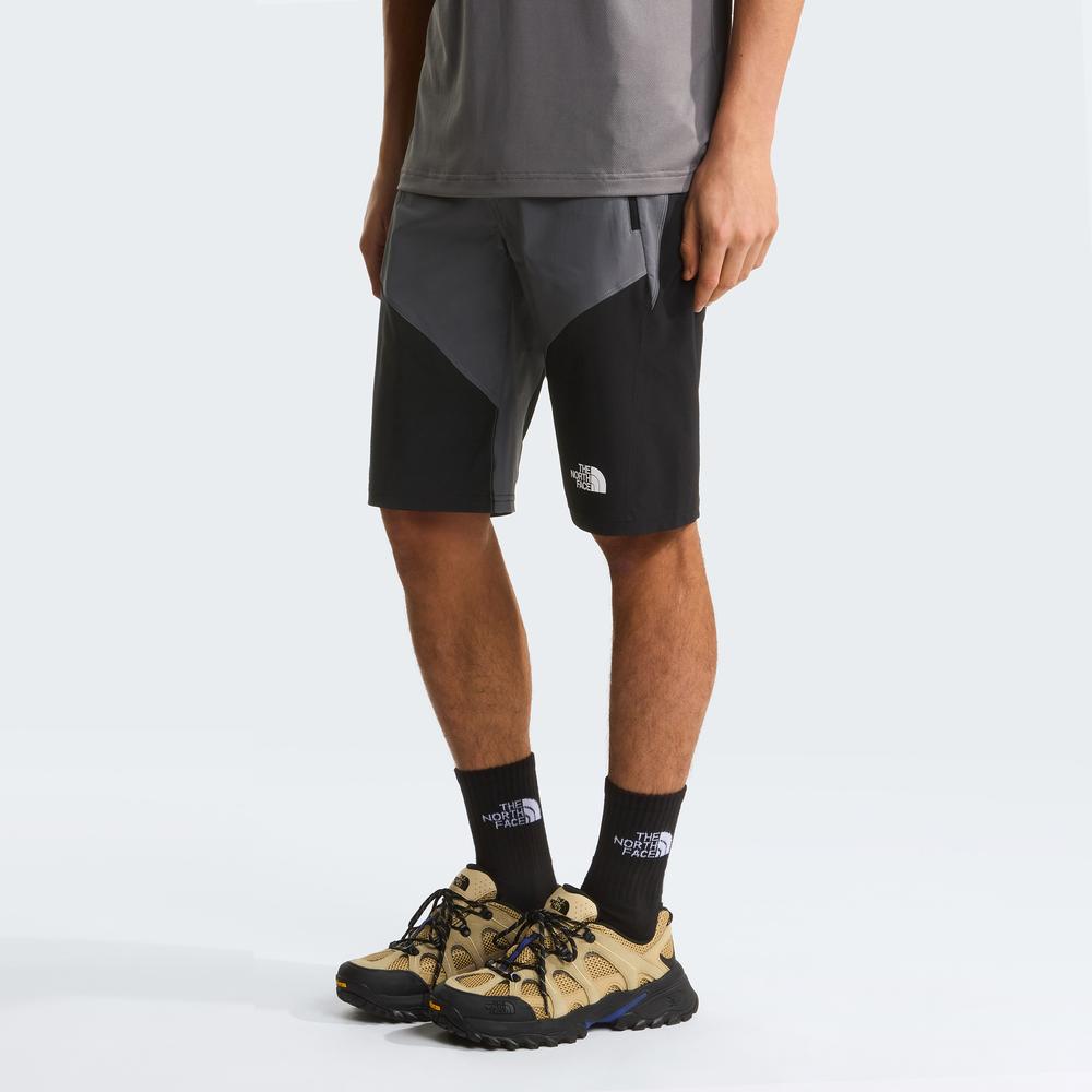 Férfi rövidnadrág The North Face Felik 0A825XRPI1 - szürke