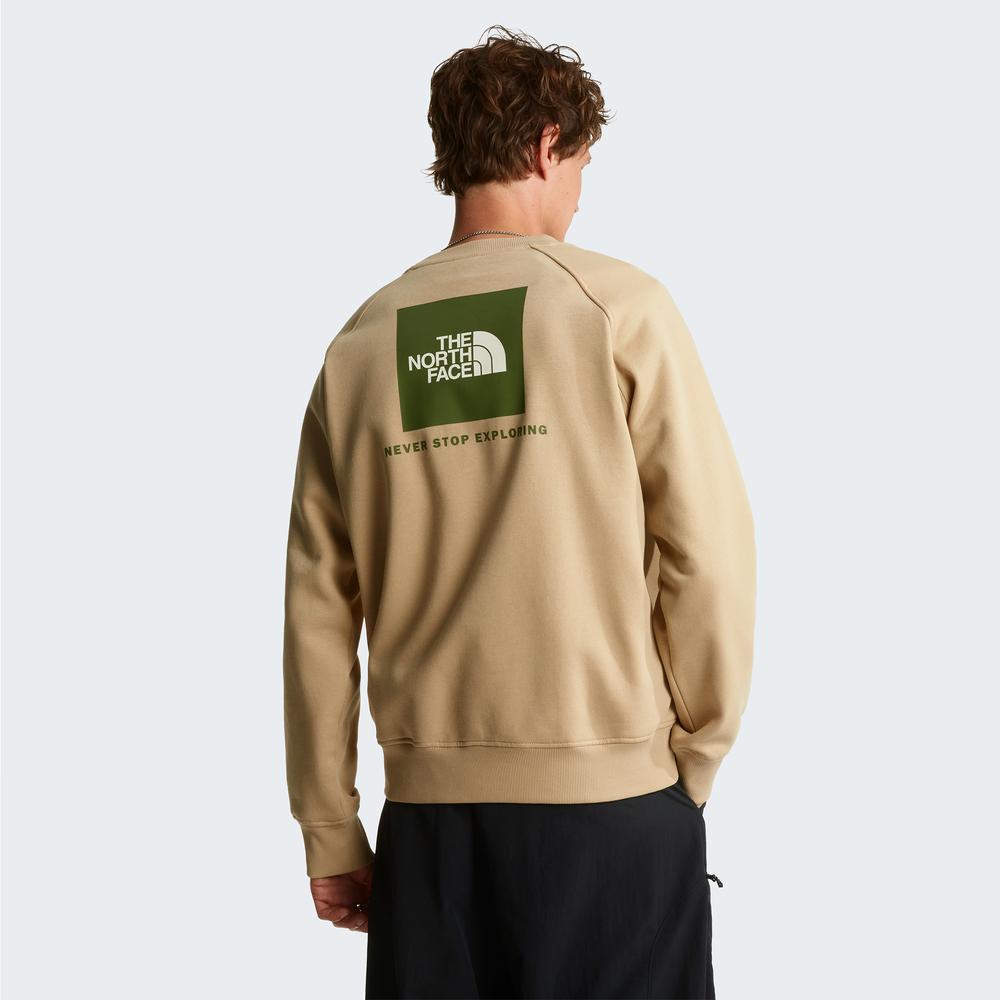 Férfi pulóver The North Face Raglan Box NS Crew 0A89FALK51 - bézs