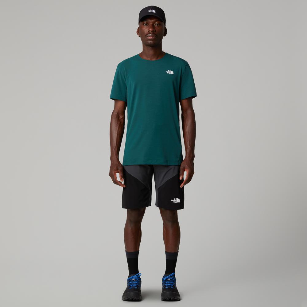 Férfi rövidnadrág The North Face Felik 0A825X4JK1 - szürke