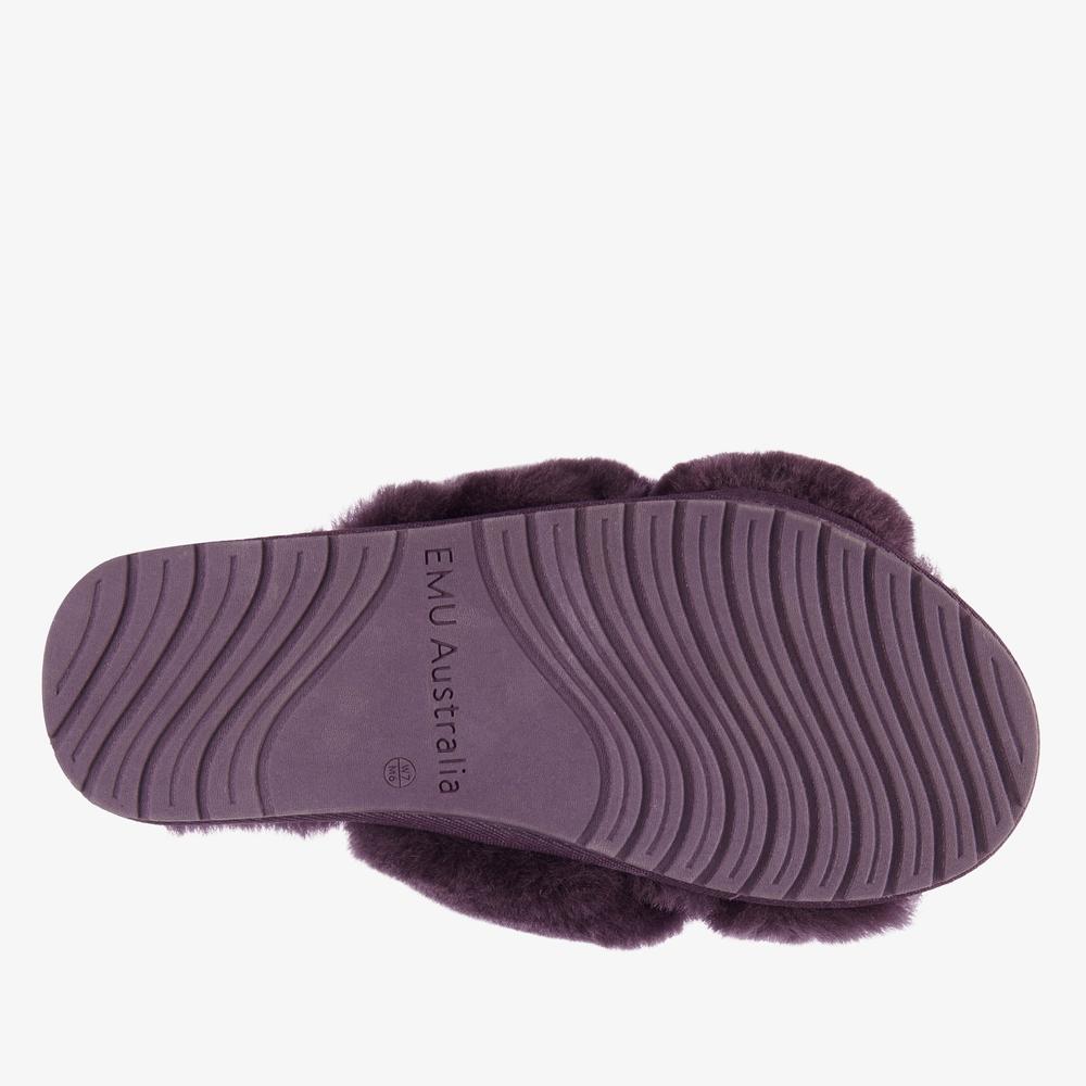 Flip Flop Emu Australia Mayberry W11573PLUM - lila