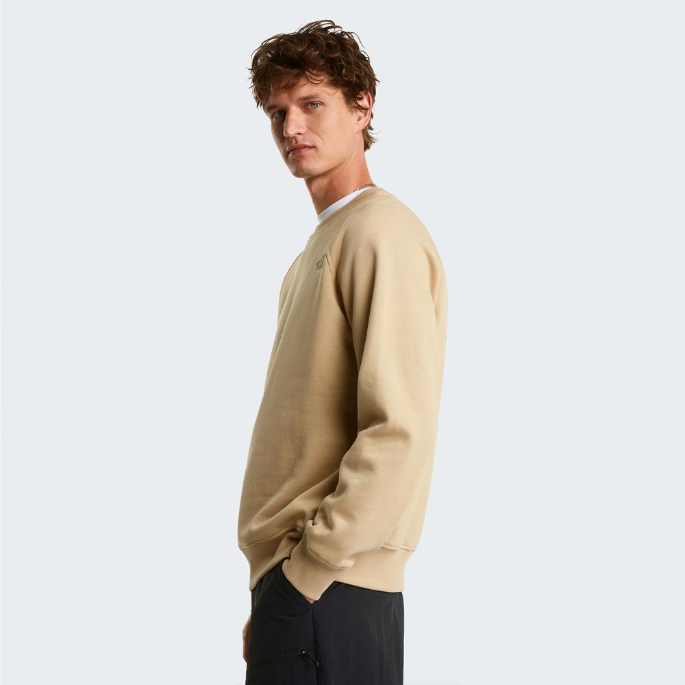 Férfi pulóver The North Face Raglan Box NS Crew 0A89FALK51 - bézs