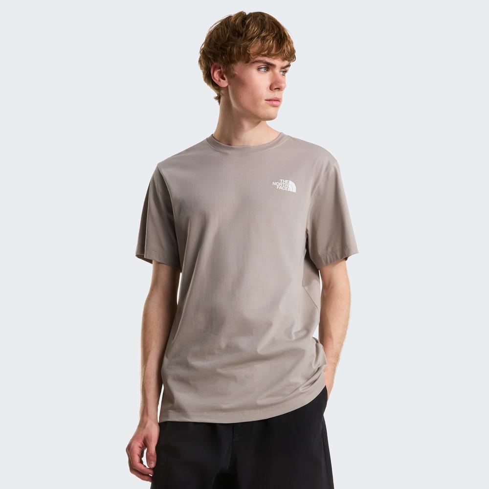 Férfi póló The North Face Evolution NSE Box 0A8B6K2MB1 - szürke