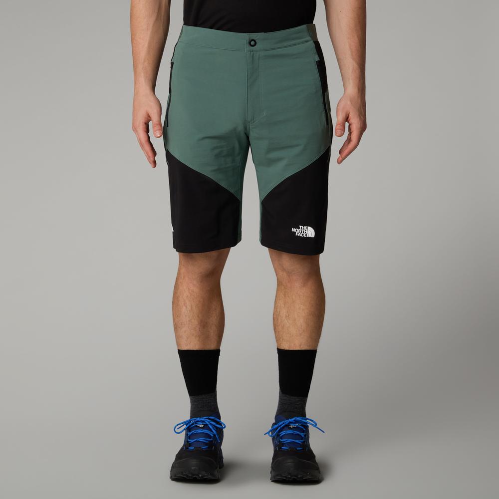 Férfi rövidnadrág The North Face Felik 0A825XLFW1 - zöld