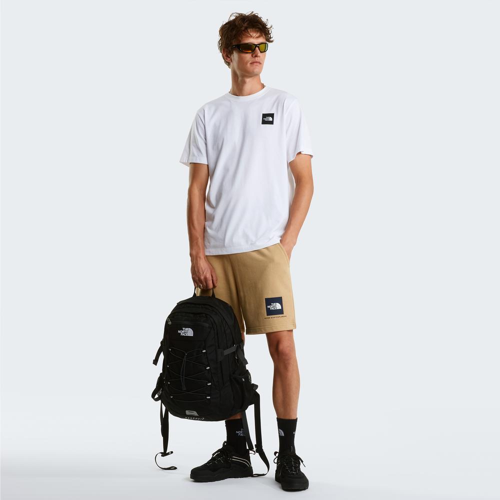 Rövidnadrág férfi The North Face NSE Box Light 0A8GQ8LK51 - bézs