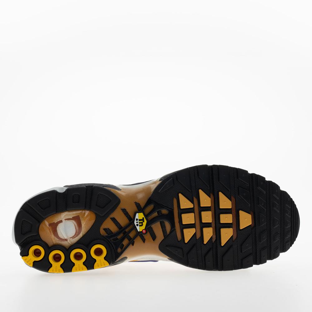 Férfi cipő Nike Air Max Plus FZ3308-700 - többszínű