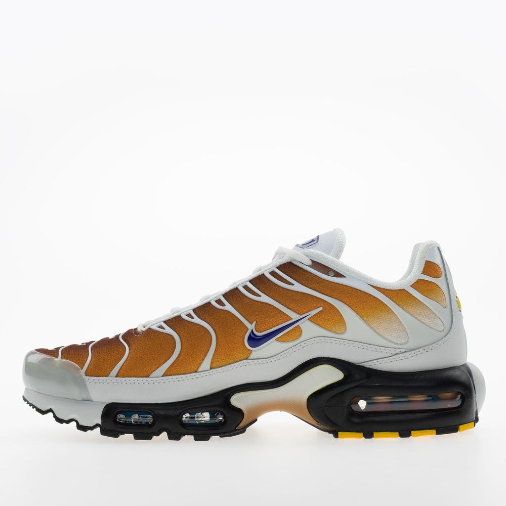 Férfi cipő Nike Air Max Plus FZ3308-700 - többszínű