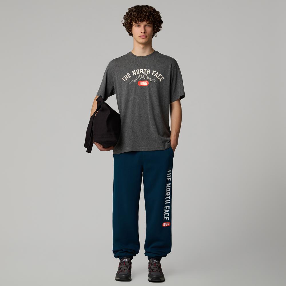 Póló The North Face Varsity Graphic 0A89DGDYY1 - szürke