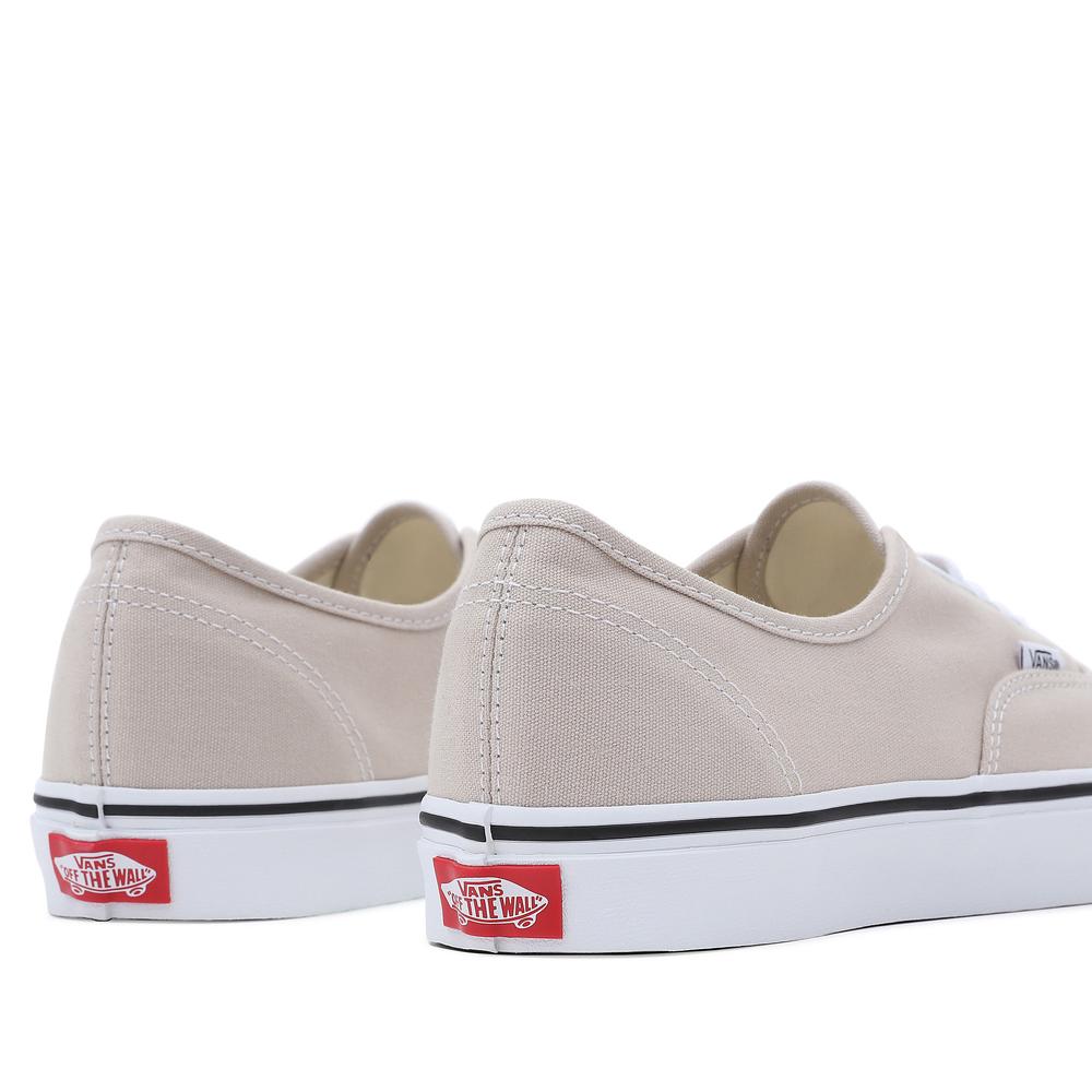 Cipő Vans Color Theory Authentic VN0A5KS9BLL1 - bézs